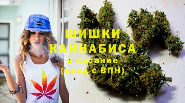прущие грибы Балабаново