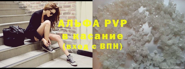 прущие грибы Балабаново