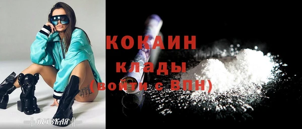 прущие грибы Балабаново
