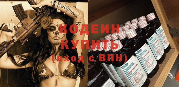 индика Балахна