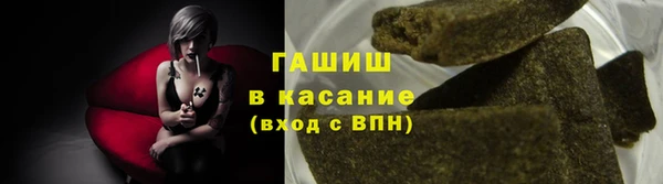 индика Балахна
