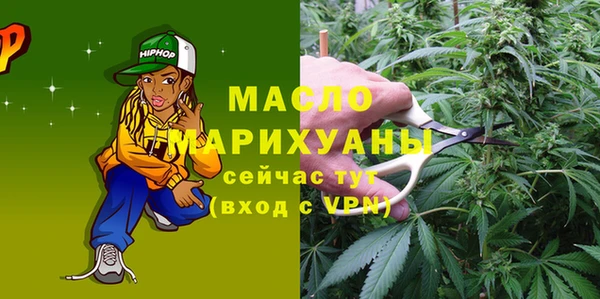 индика Балахна