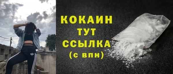 прущие грибы Балабаново