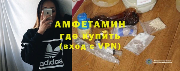 прущие грибы Балабаново