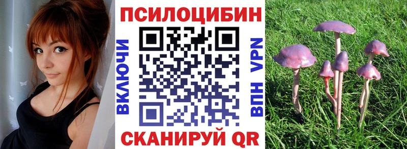 наркошоп  Гороховец  Галлюциногенные грибы мицелий 
