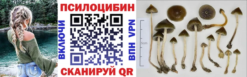 Псилоцибиновые грибы Psilocybe Гороховец